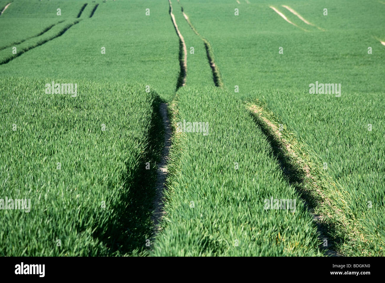 Tractor tracks on a field Stock Photo - Alamy