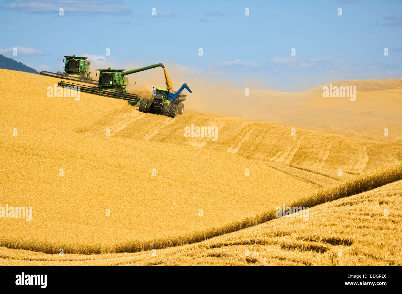 Two combines harvest Soft White wheat on rolling hillside terrain while