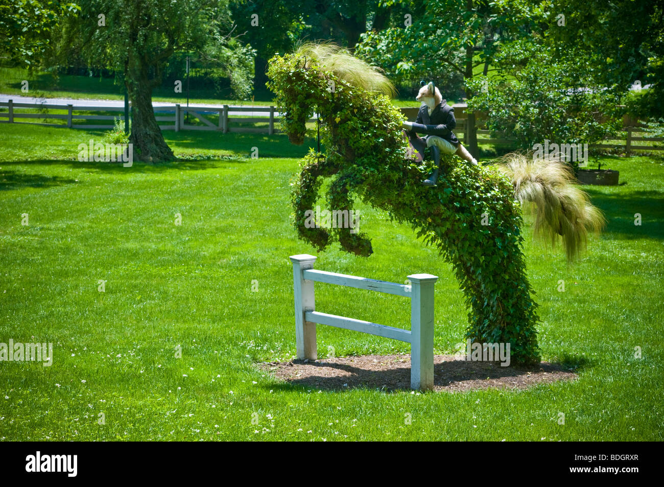 Horse bush hires stock photography and images Alamy