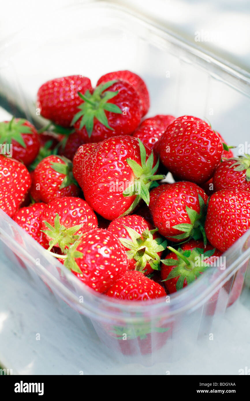 Strawberries in a Stock Photo Alamy