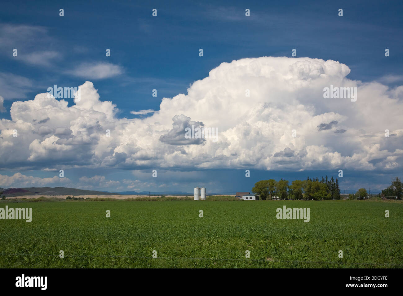 Big white clouds over Idaho farm county Stock Photo