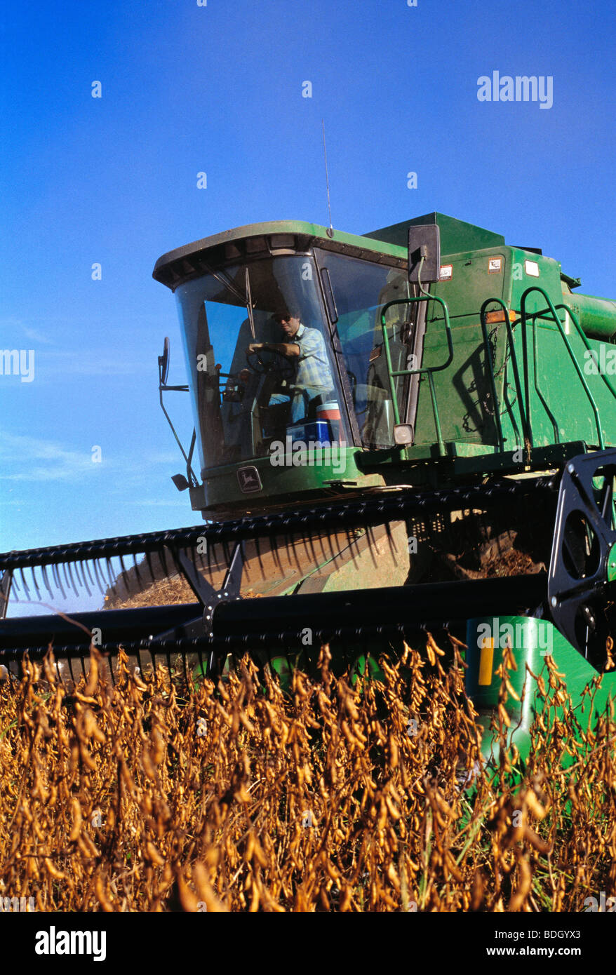 Agriculture John Deere combine harvesting soybeans / Arkansas, USA