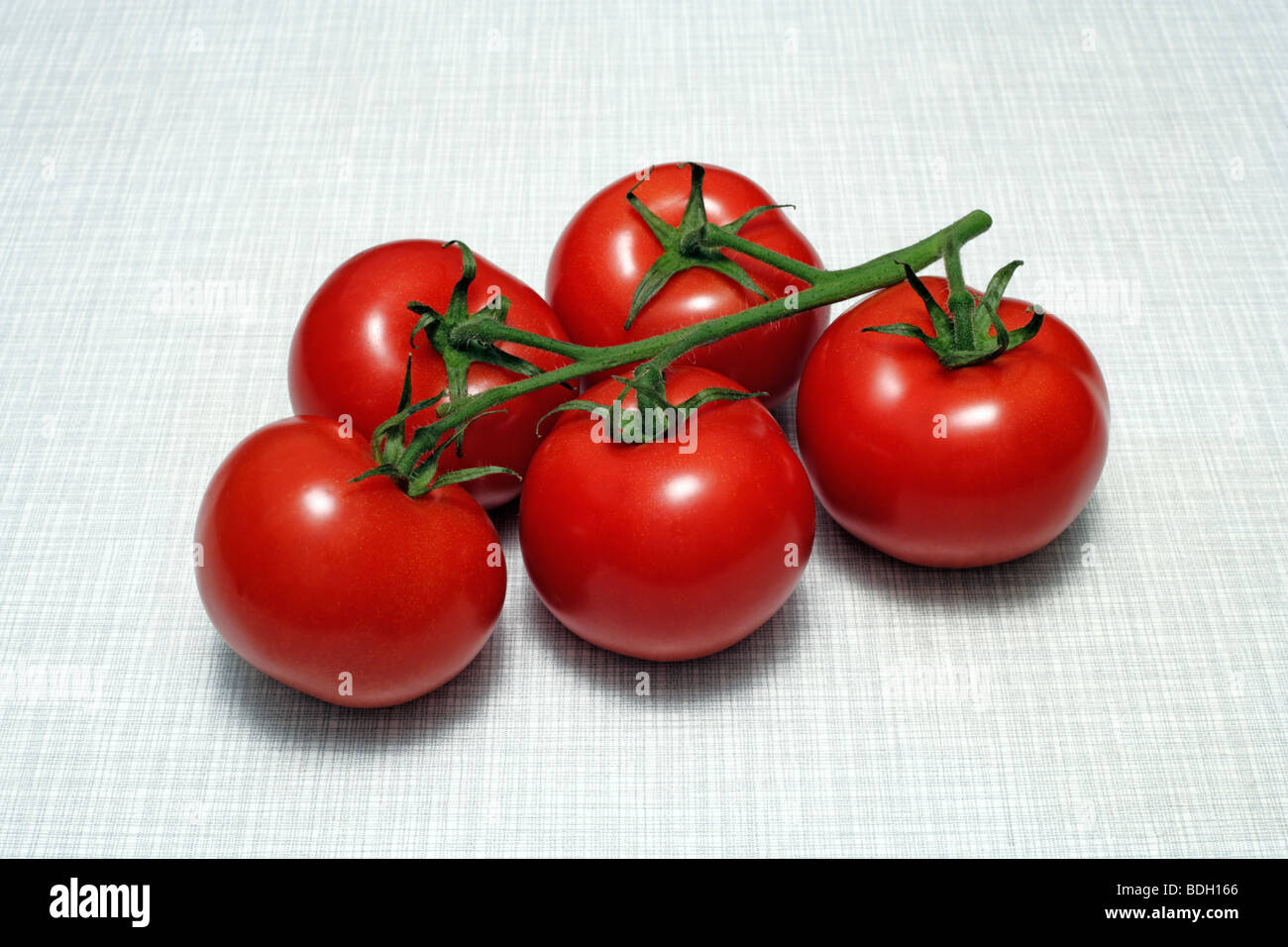 Five bush tomatoes on kitchen desk top Stock Photo