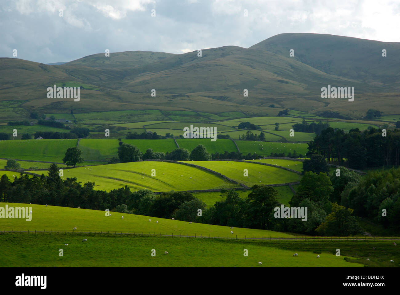 Farming landscape near the village of Ravenstonedale, looking towards Ravenstonedale Common, near Kirkby Stephen, Cumbria, UK Stock Photo