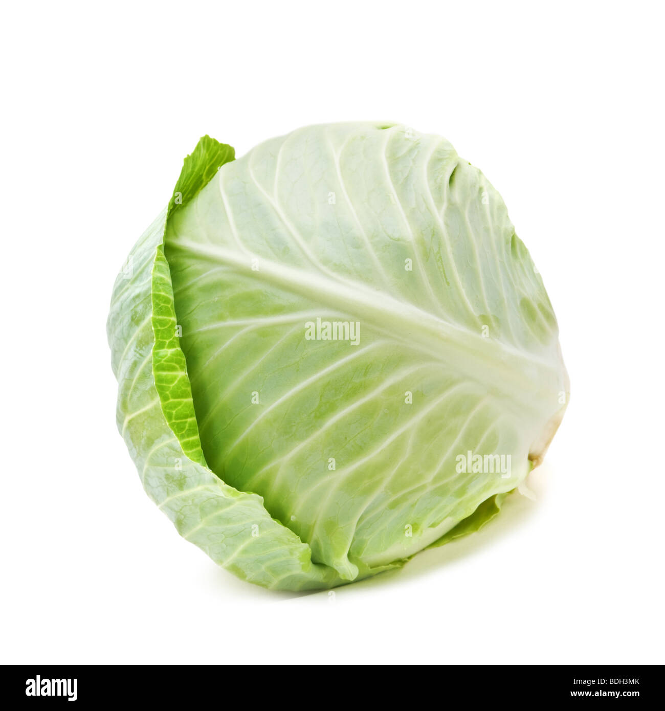 cabbage isolated on white Stock Photo