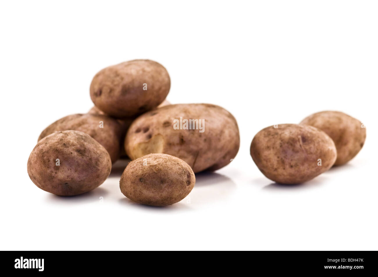 potato isolated on white Stock Photo