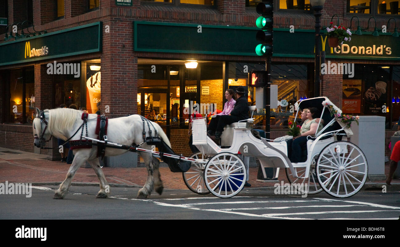 Boston horse and buggy hires stock photography and images Alamy