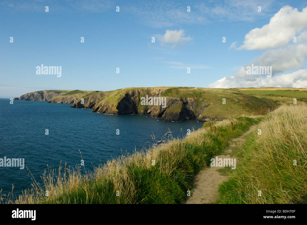The cliffs by Ceibwr Bay, Pembrokeshire, Wales Stock Photo