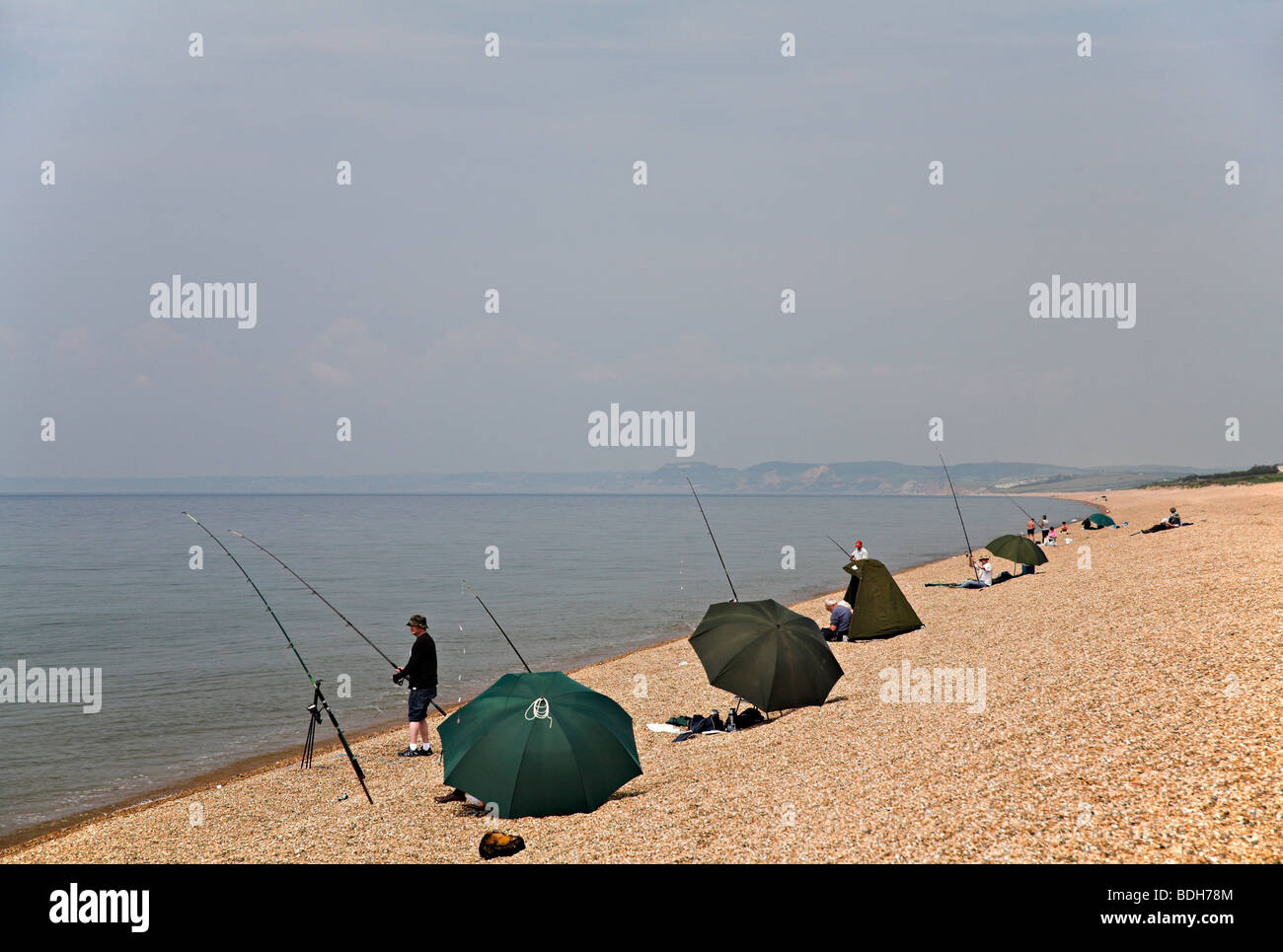 Sea fishing at Chesil Beach Dorset coast UK Stock Photo