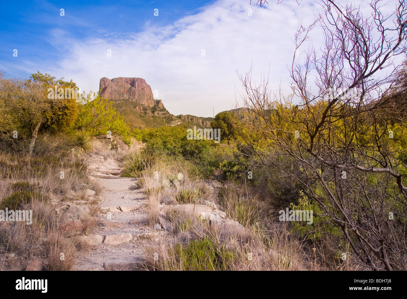The windows Trail at Big Bend National Park in Southwest Texas Stock Photo