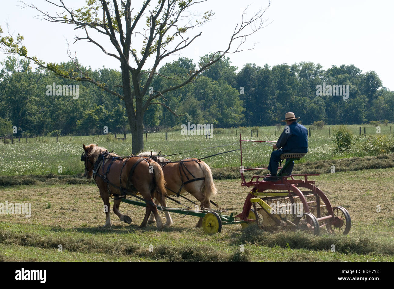 Horse drawn hay rake hires stock photography and images Alamy