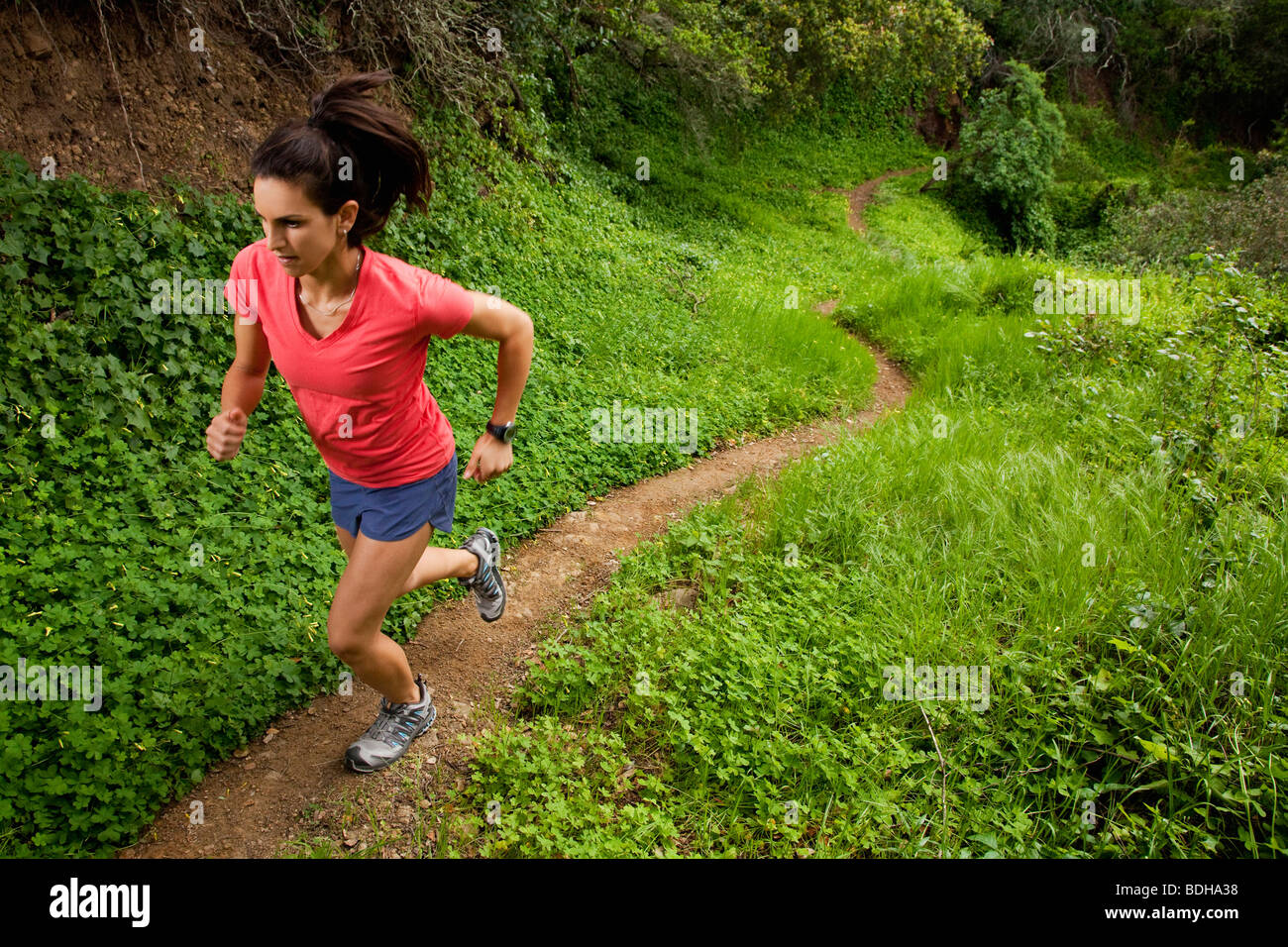 Woman trail running through a green meadow in the woods. Stock Photo