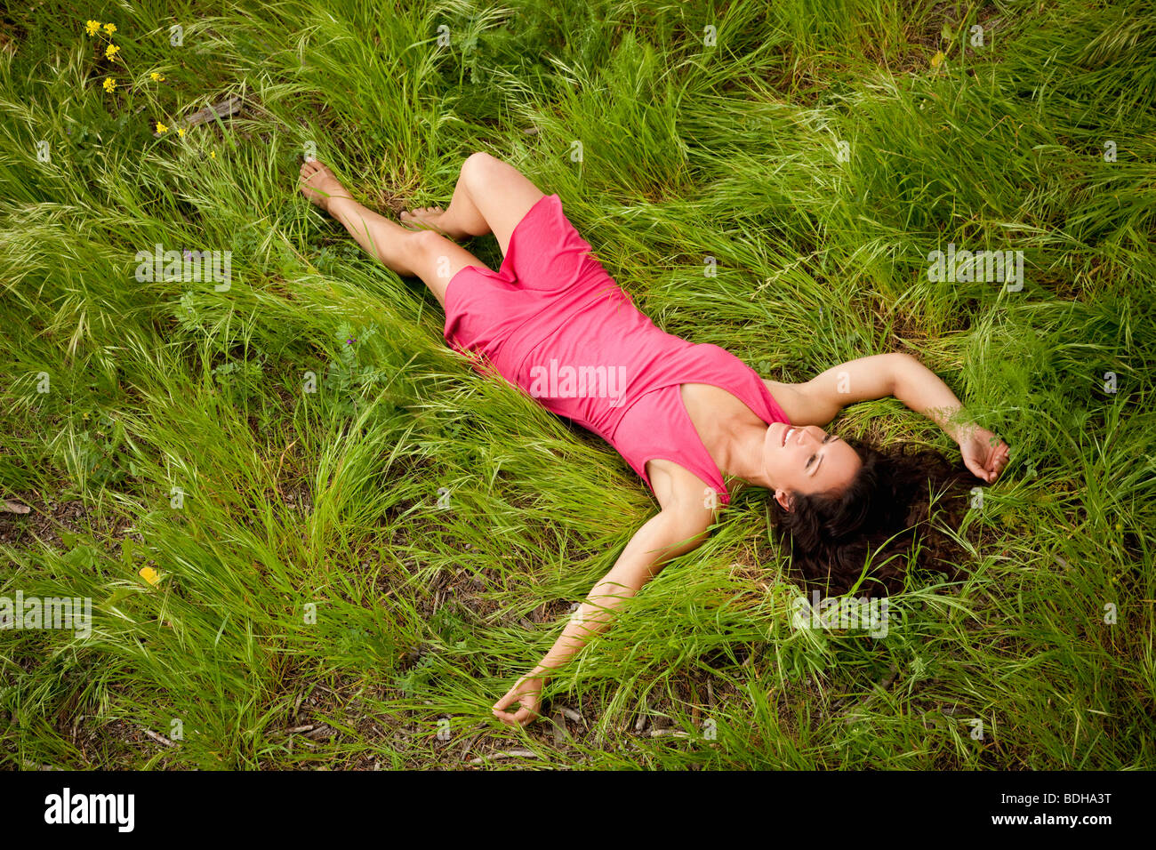 Happy young woman in a dress laying in a field of fresh grass. Stock Photo