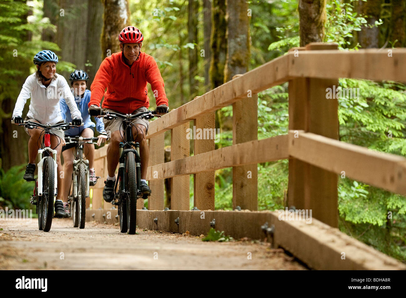 Three mountain bikers riding across a wooden bridge in a forest. Stock Photo