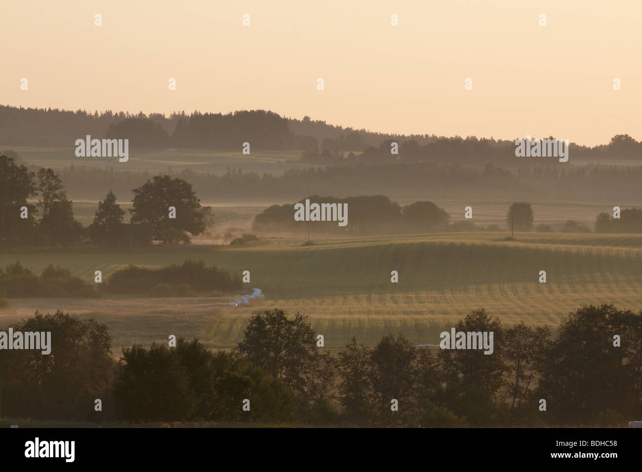 Misty fields in southern Estonia Stock Photo