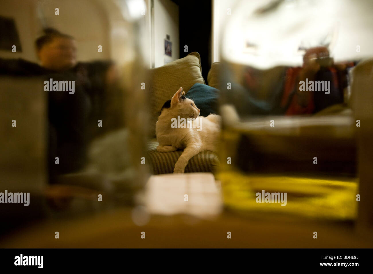 Group of people relaxing inside the Mt. Washington Observatory in the
