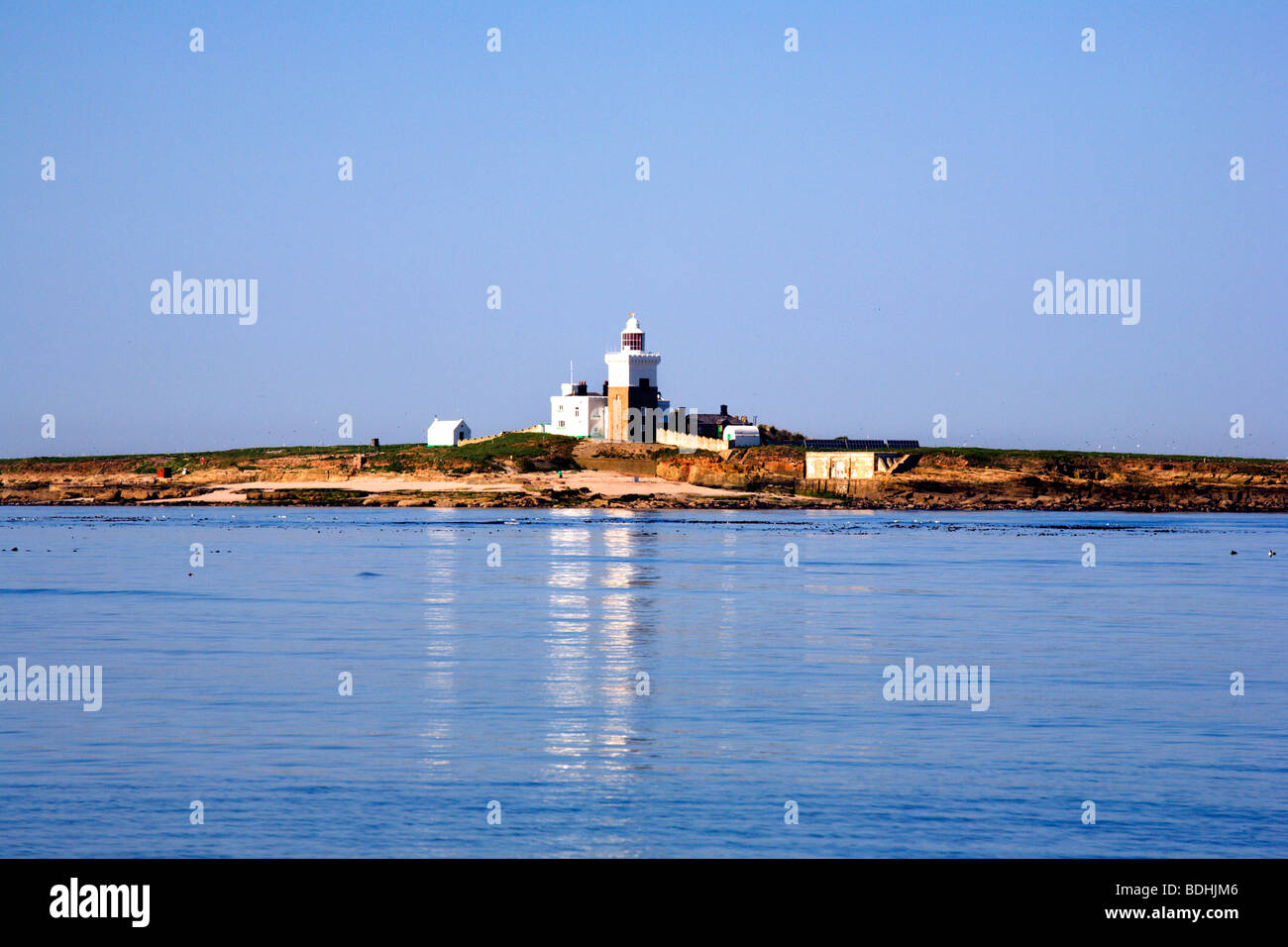 Coquet Island from Hauxley Beach Low Hauxley Amble Northumberland