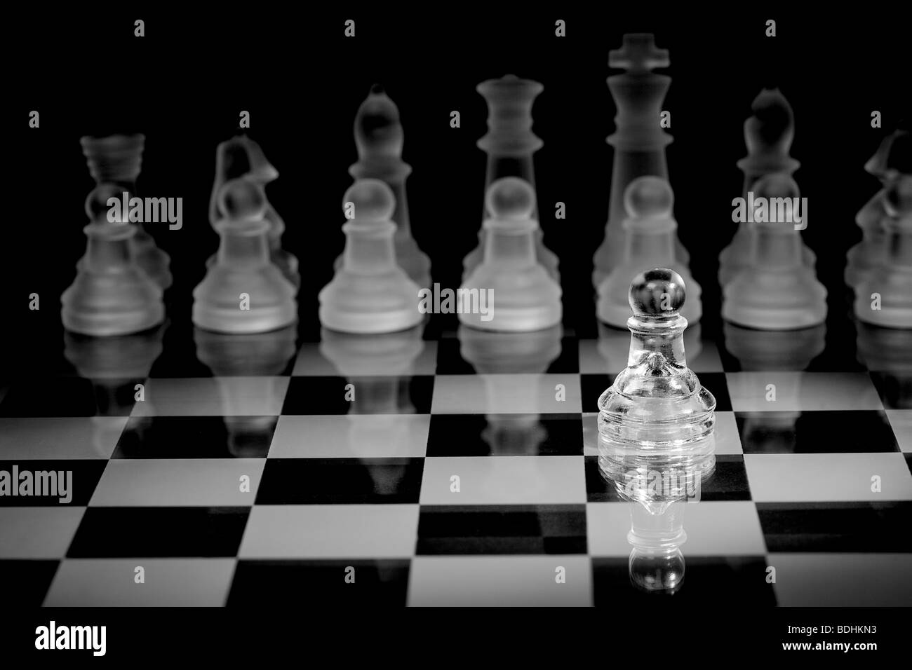 Chessboard Paws Black Background Images, HD Pictures and Wallpaper