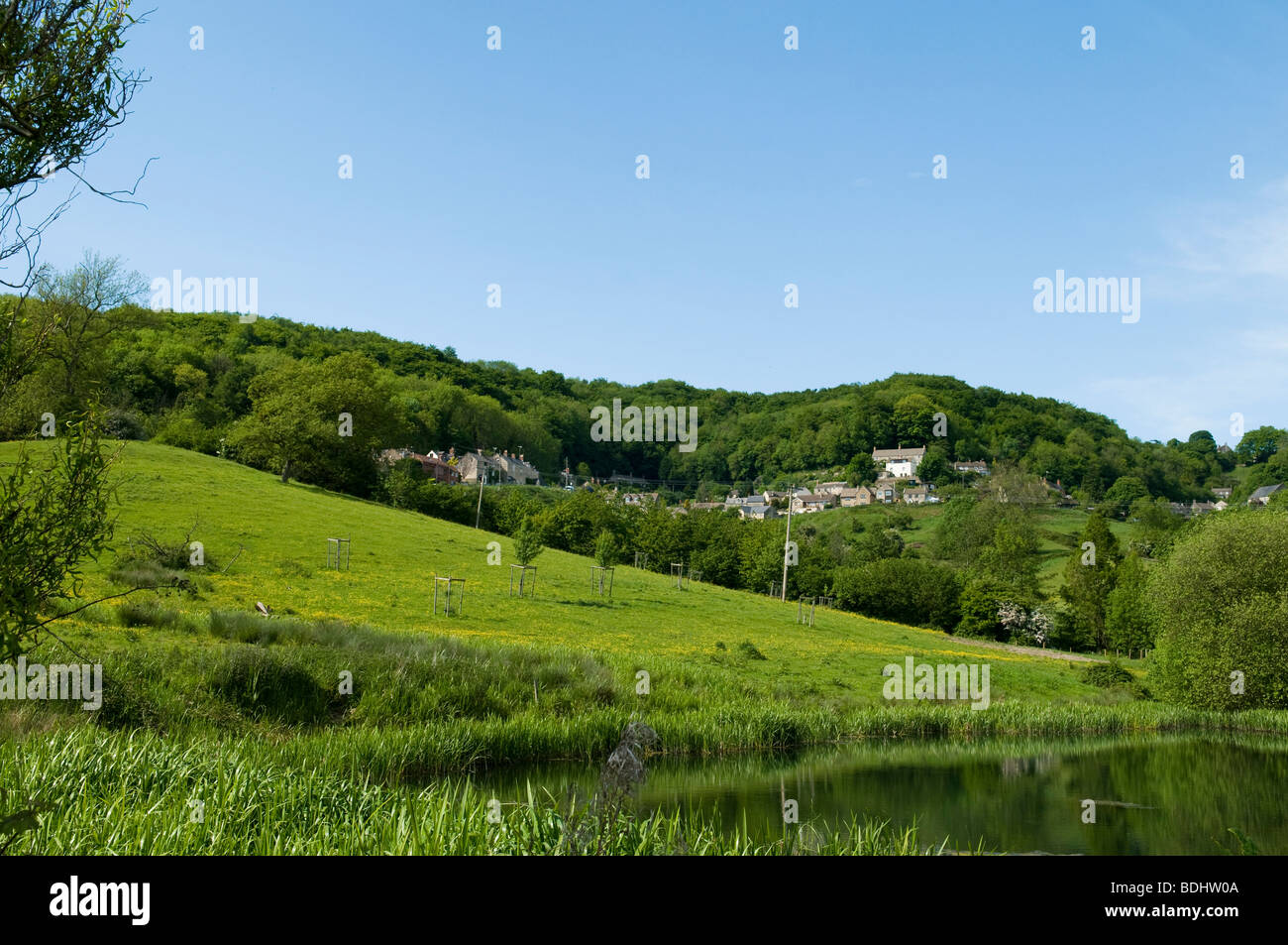 View of from the valley beneath Whiteshill, Stroud Stock Photo