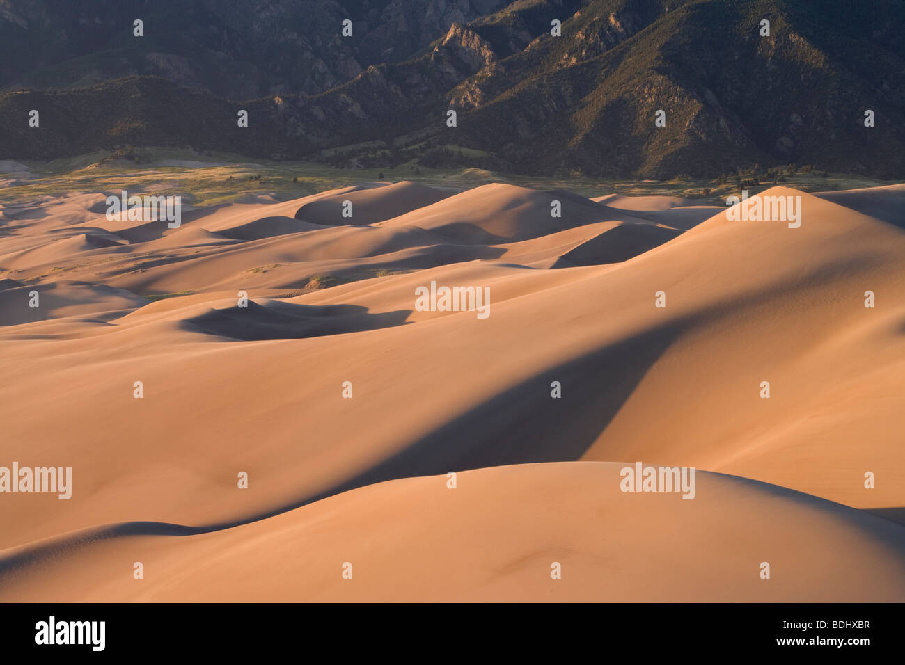 sand dunes at sunset, Great Sand Dunes National Park, Colorado Stock Photo