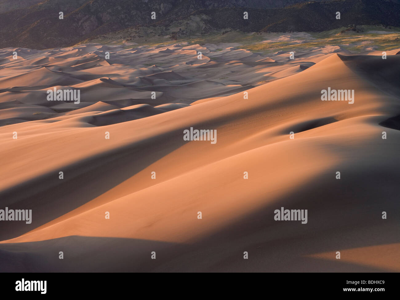 sand dunes at sunset, Great Sand Dunes National Park, Colorado Stock Photo