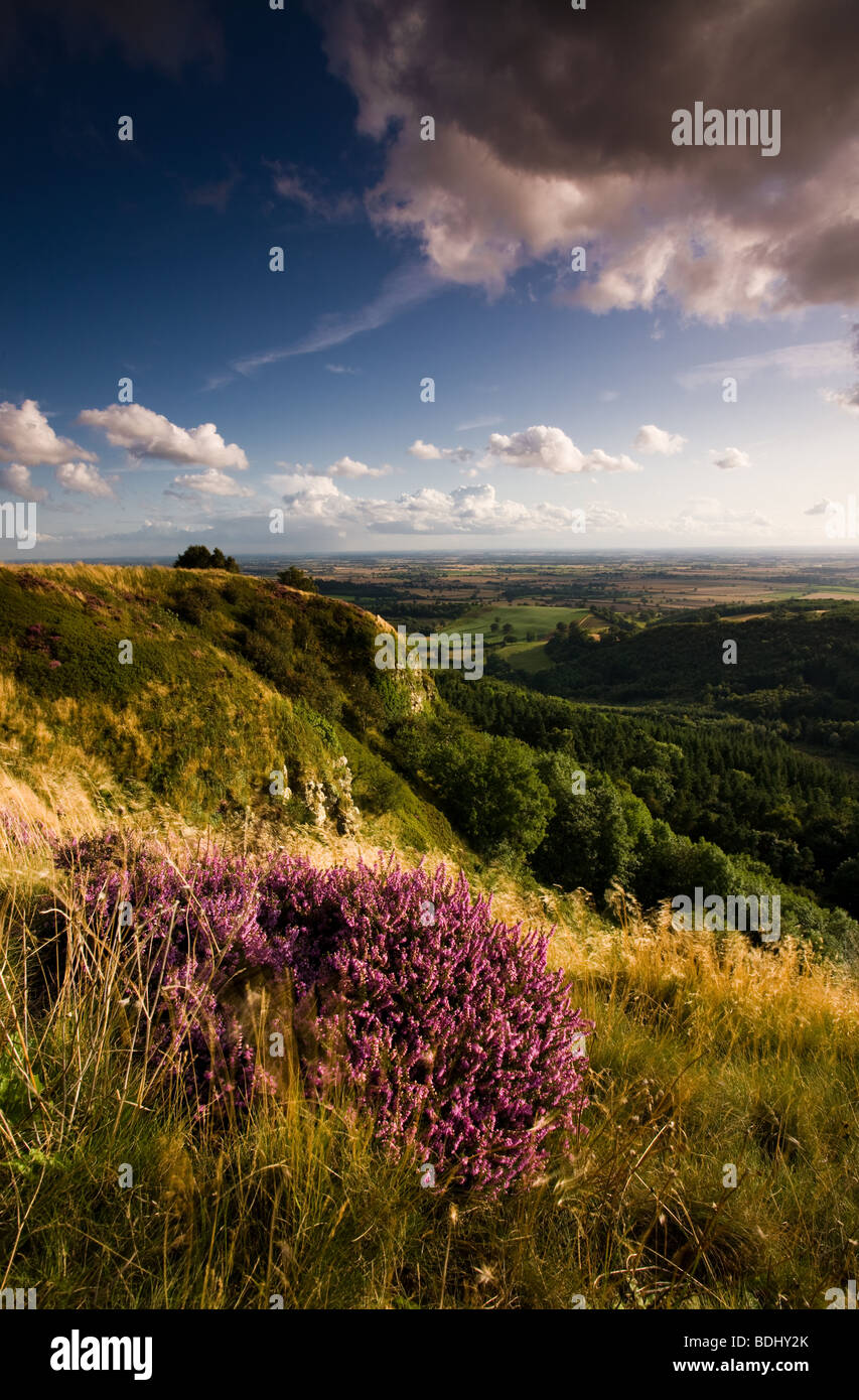 Roulston scar hi-res stock photography and images - Alamy