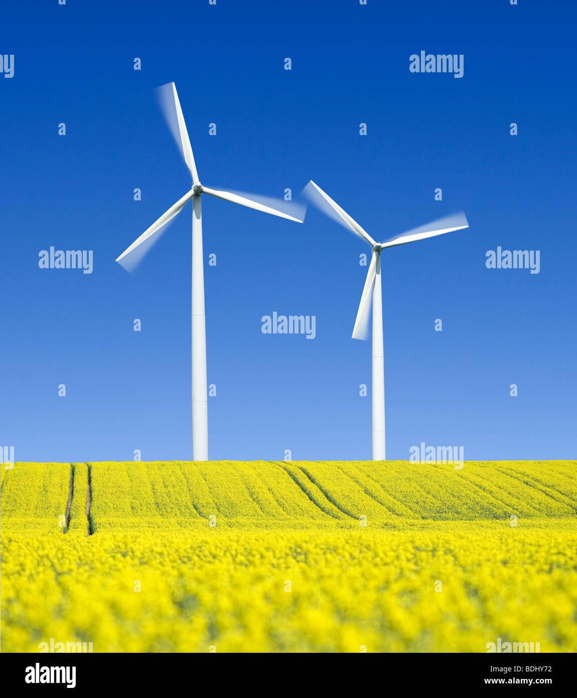 wind turbines in oilseed field Stock Photo
