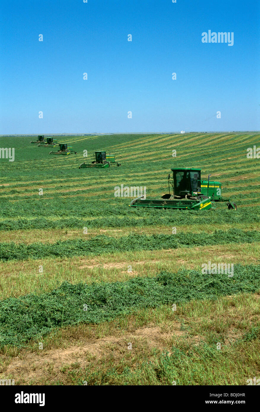 Agriculture Five windrowers cut and windrow alfalfa hay for drying prior to baling / Kansas
