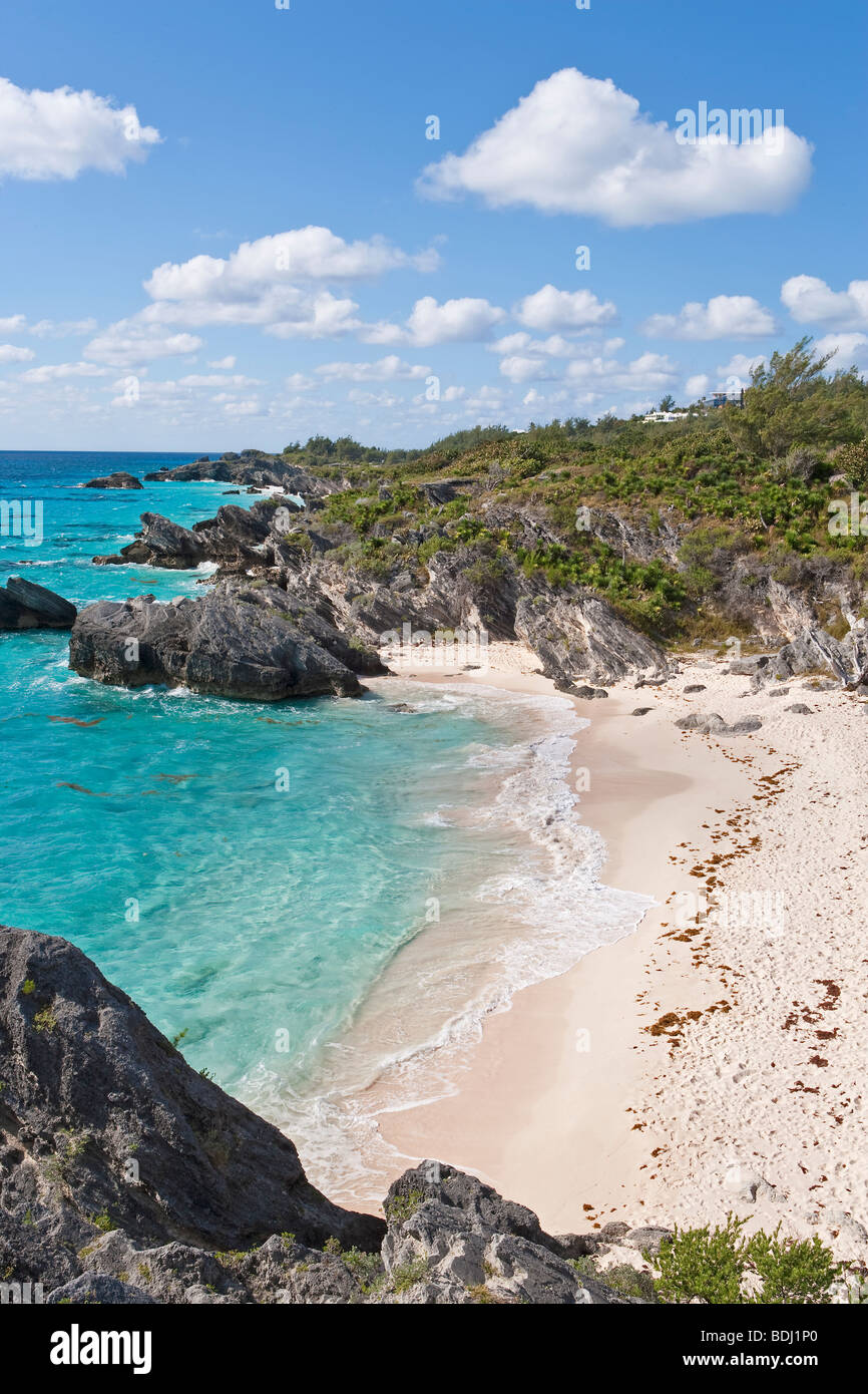 chaplin bay