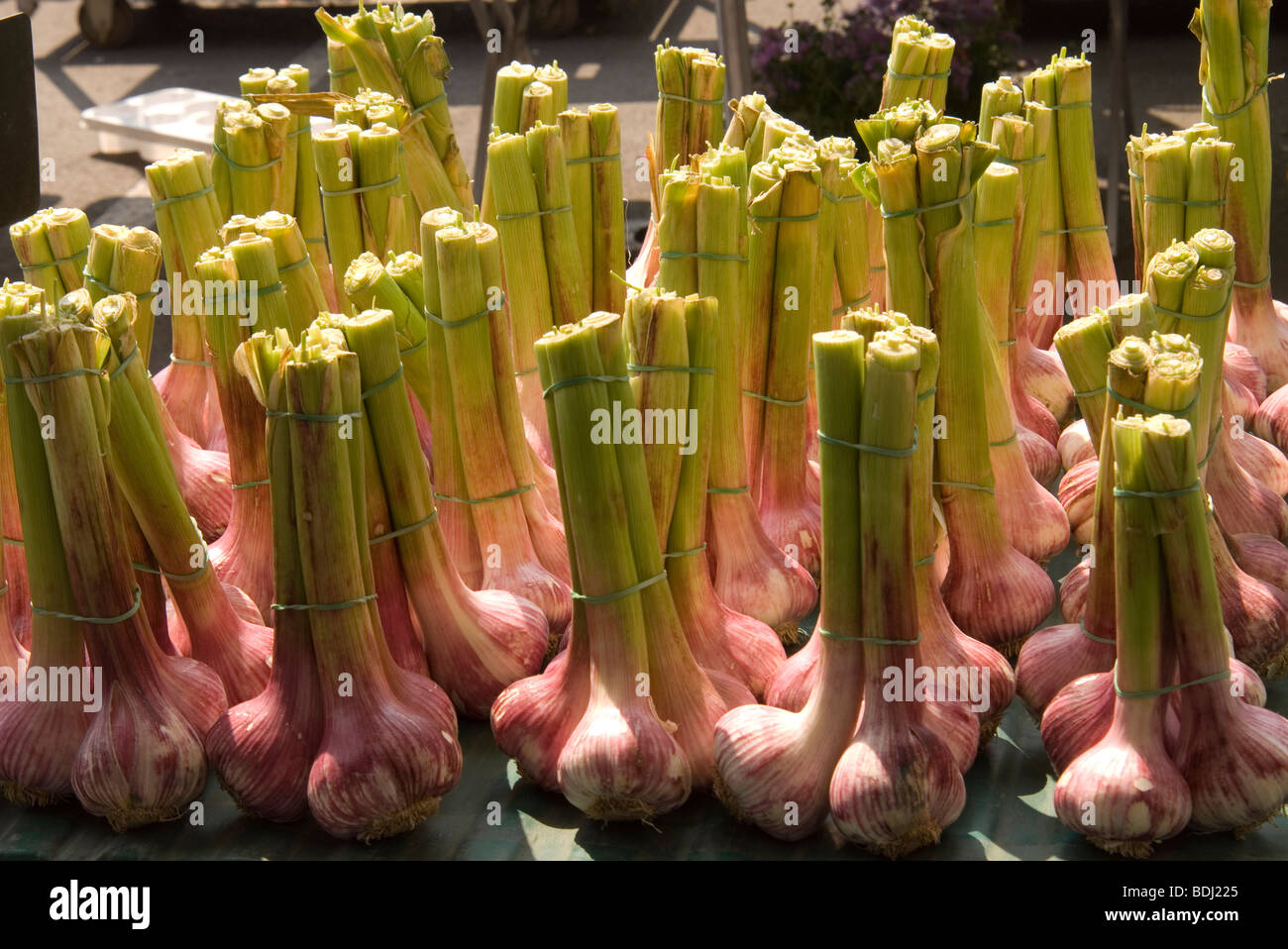 Lots of pink garlic bulbs attractively displayed and on sale in the weekly market in Moissac, Tarn et Garonne, southwest France. Stock Photo