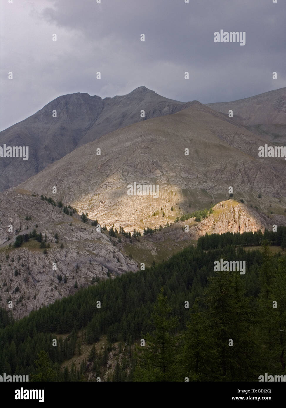 Stream, Col D'Allos, Alpes Maritime, France Stock Photo - Alamy