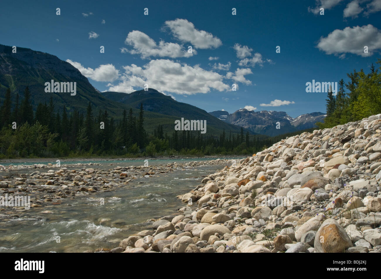 Snaring River, Jasper national Park, Canada Stock Photo