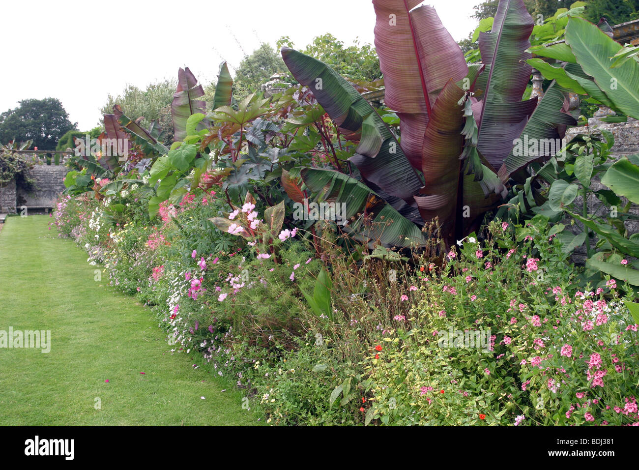 The gardens at Kingston Maurward House, Dorset Stock Photo Alamy