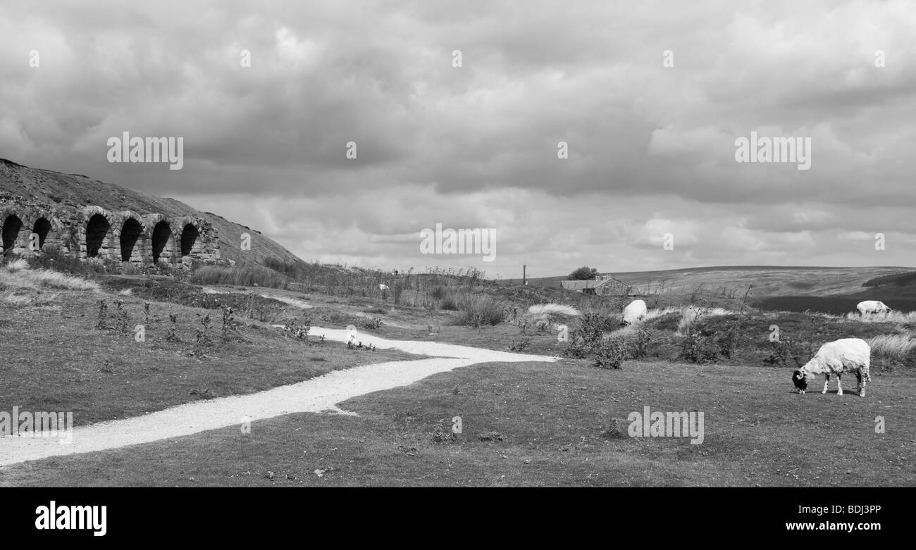 Kilns of Rosedale Ironworks Stock Photo Alamy