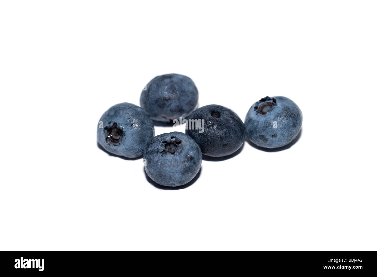 Small group of blueberries (Vaccinium myrtillus) on white background Stock Photo