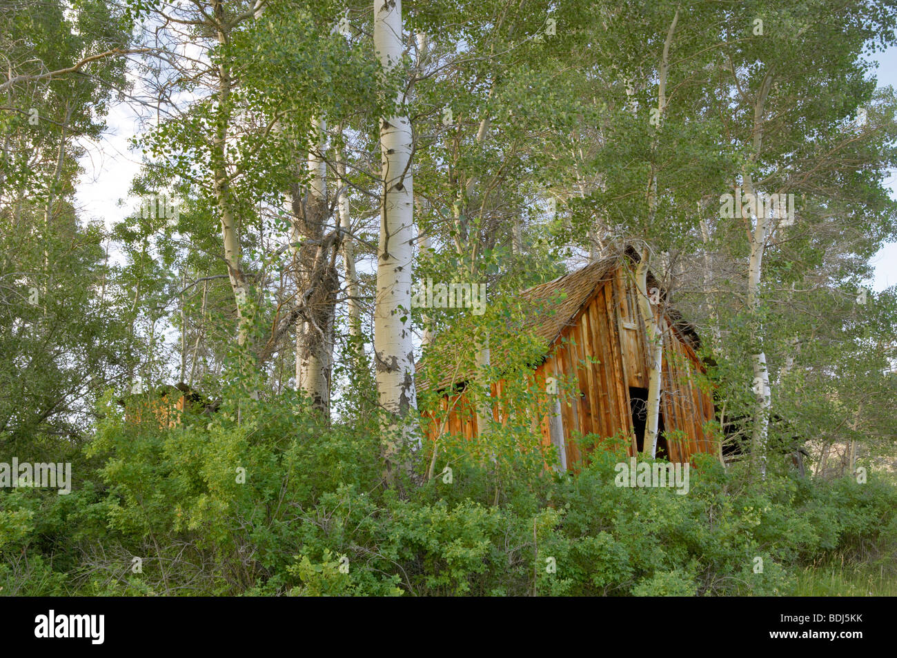 Old historic log home hi-res stock photography and images - Alamy