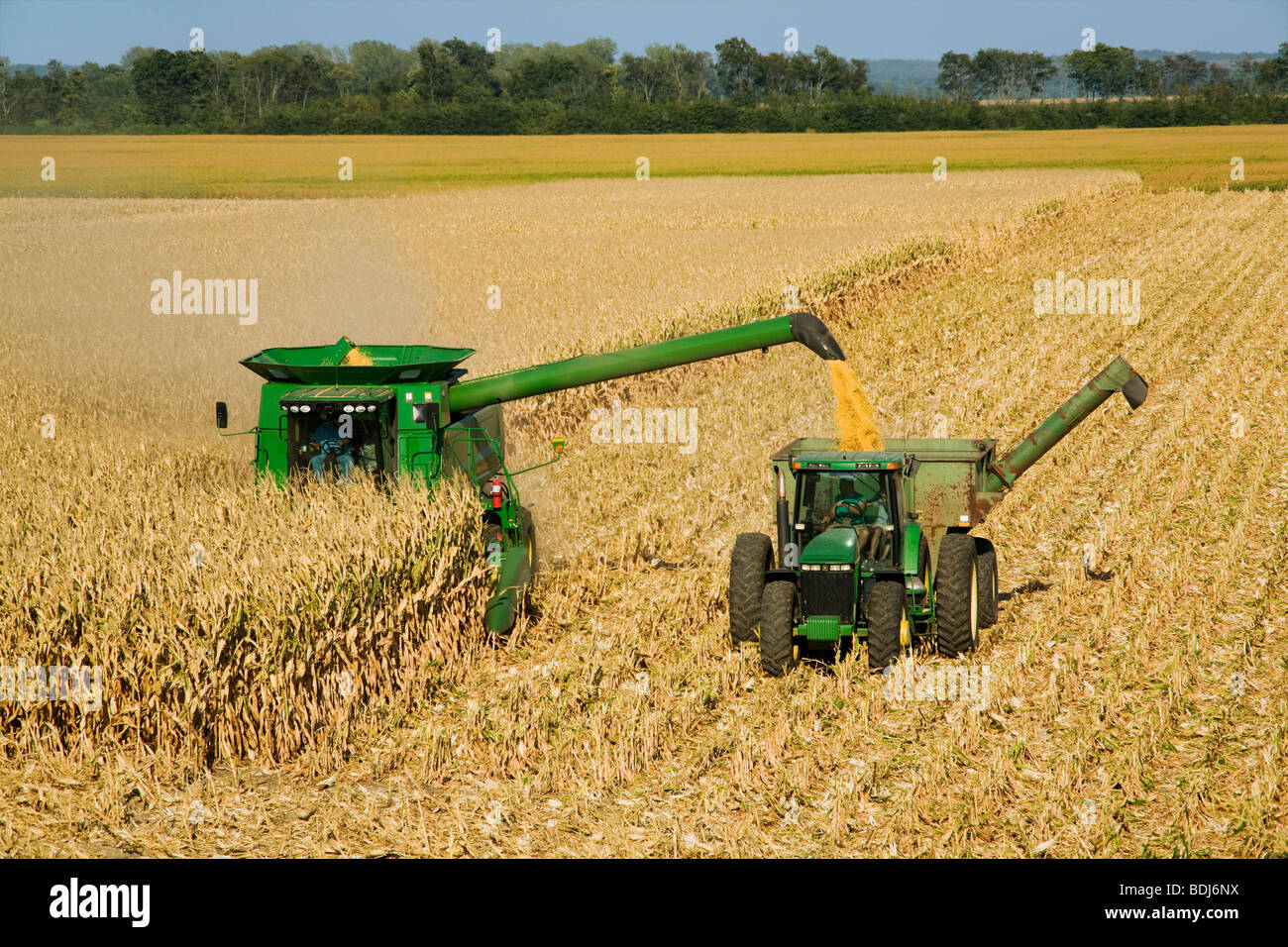 Agriculture A John Deere combine harvests grain corn and unloads into