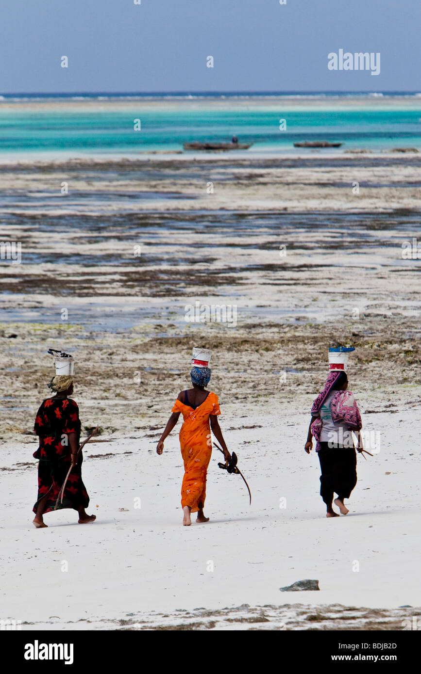 Women carry their caught fish in buckets on their heads, Zanzibar, Tanzania, Africa Stock Photo