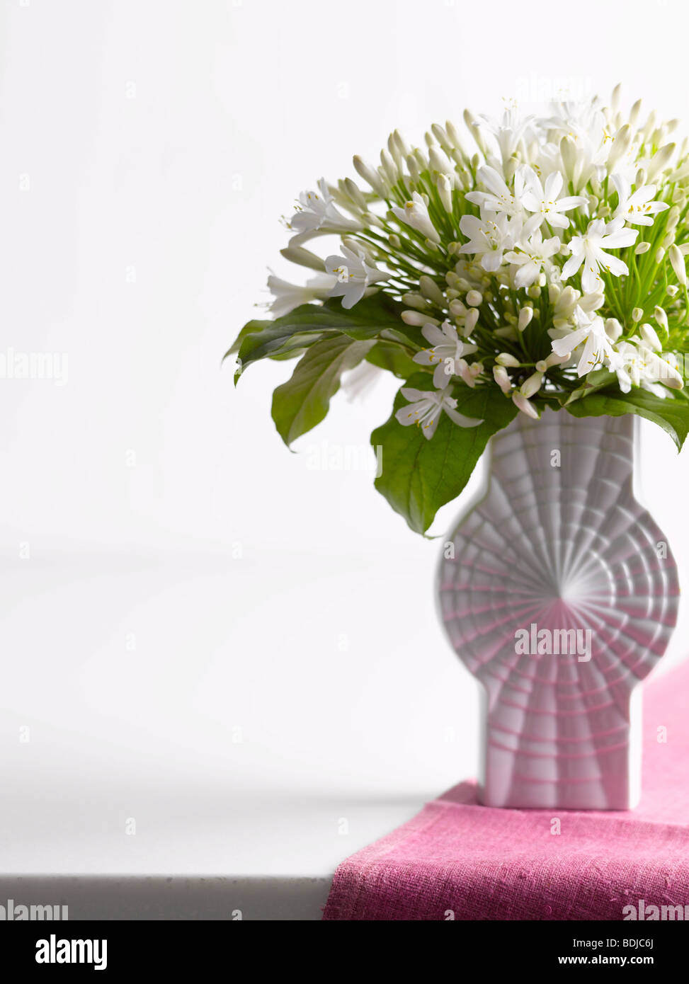 Lily of the Nile in Vase Stock Photo