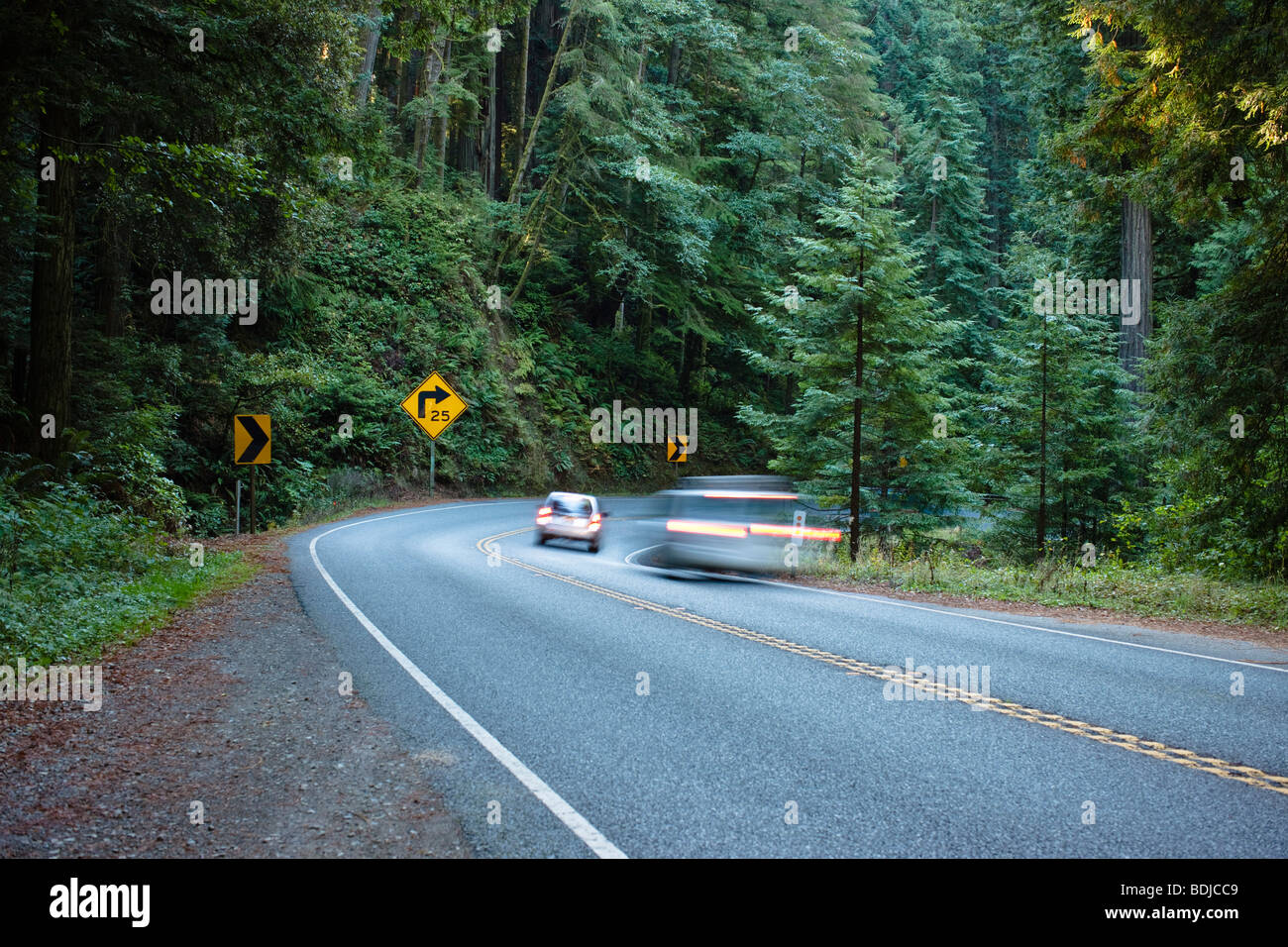 Highway 199 Through Jedediah Smith State Park, Northern California