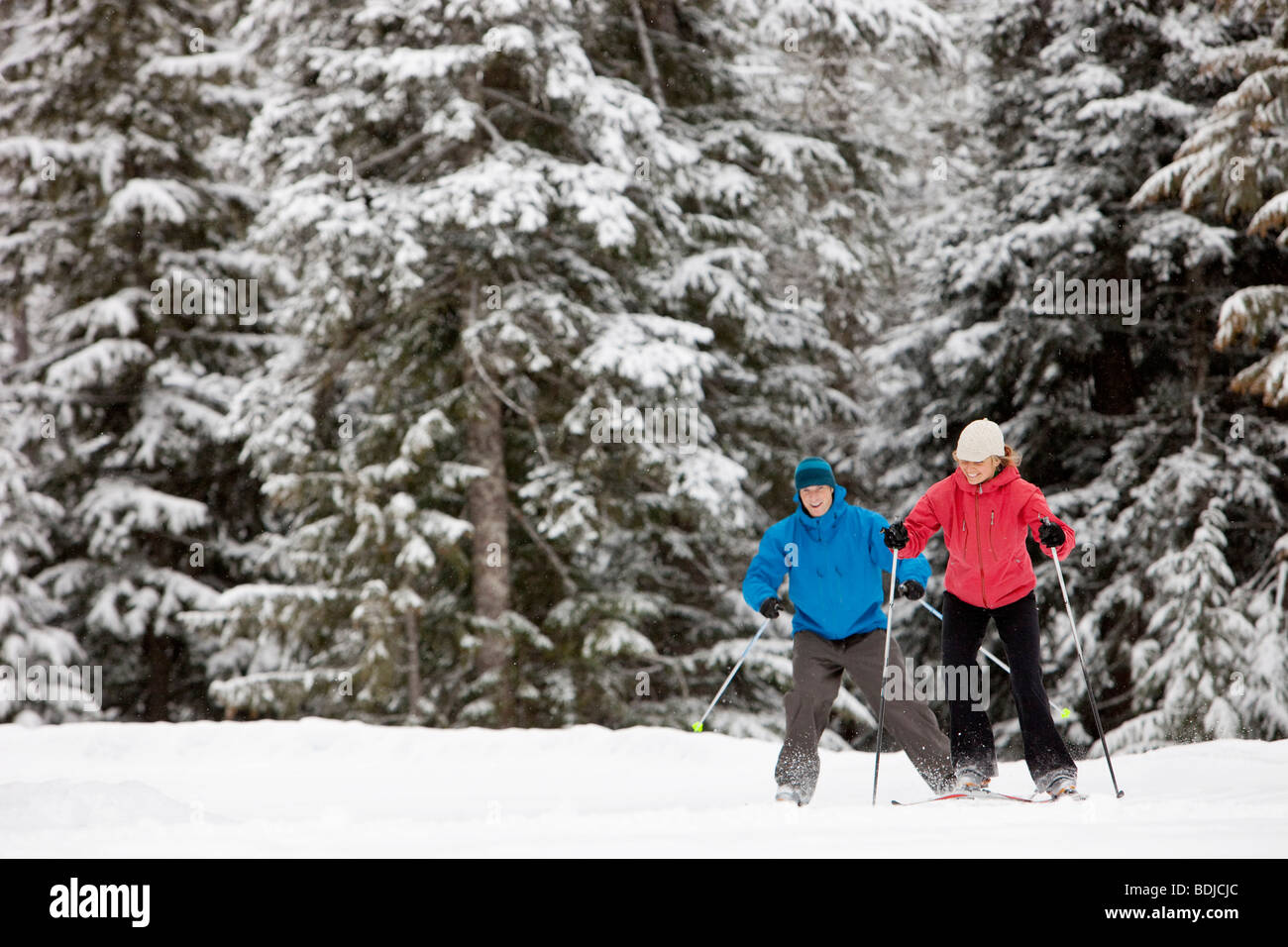 Couple Cross Country Skiing, Whistler, British Columbia, Canada Stock