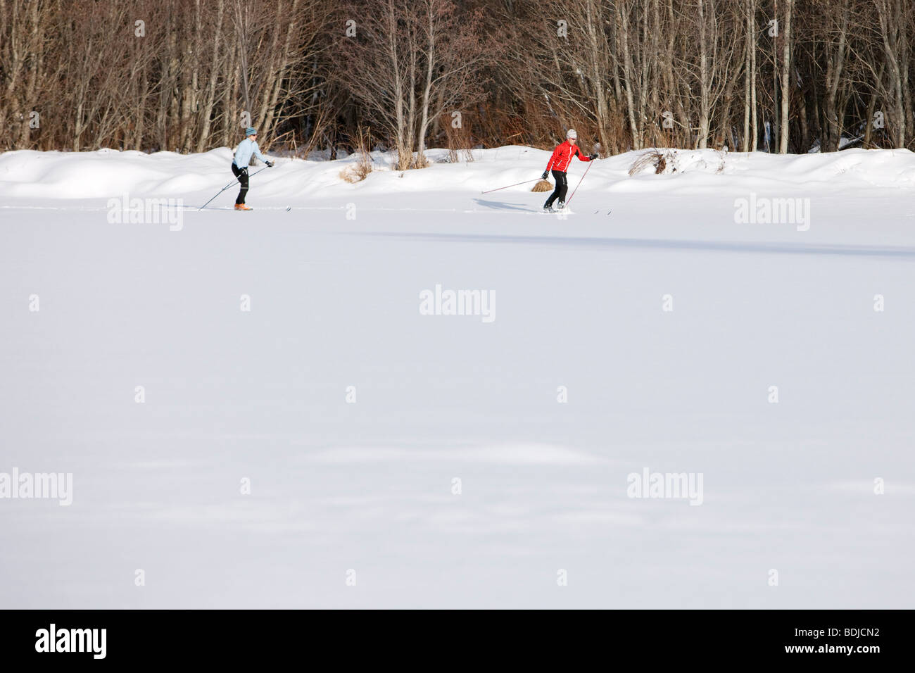 Couple Cross Country Skiing, Whistler, British Columbia, Canada Stock Photo