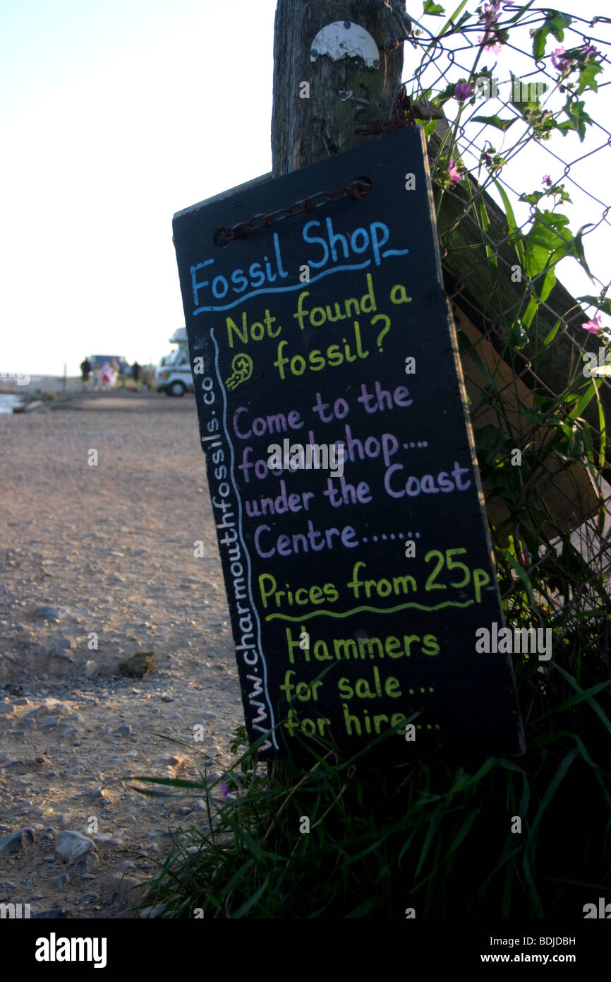 Charmouth Beach Fossil Shop Sign, Jurassic World Heritage Coast, Dorset Stock Photo