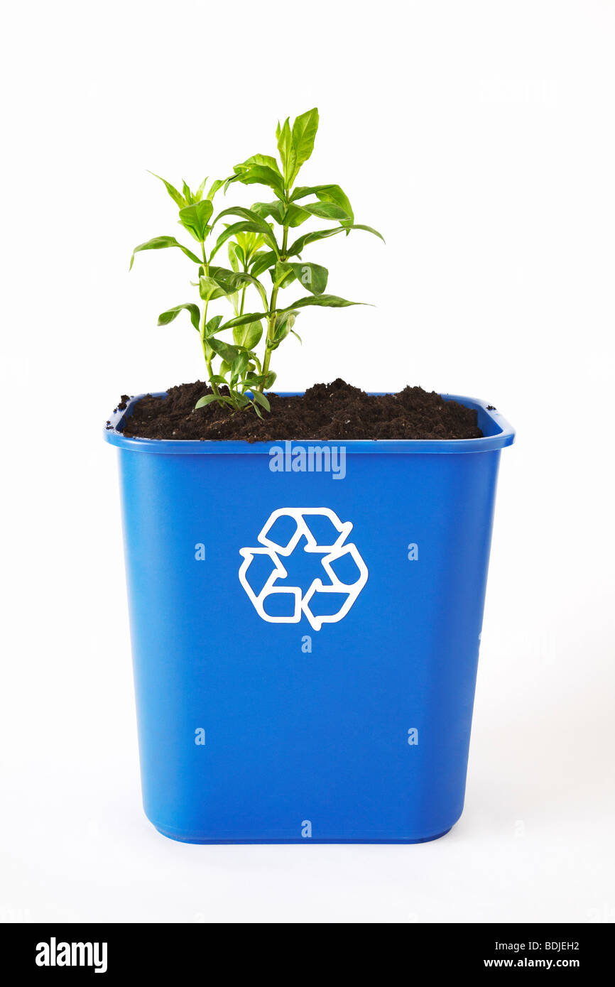 Plant and Soil in Recycling Bin Stock Photo Alamy