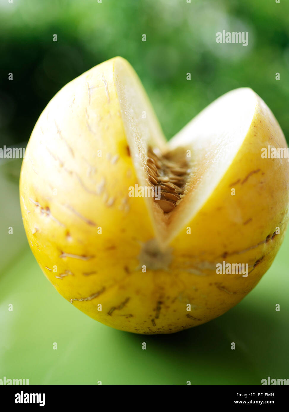 Canary Melon Stock Photo