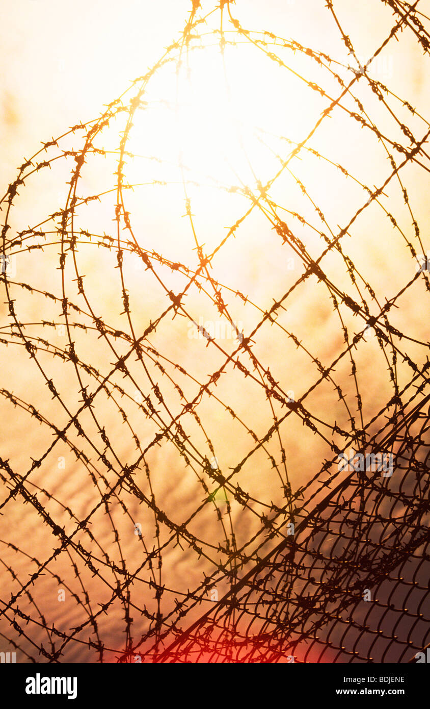 Barbed Wire Fence, Sunset Stock Photo