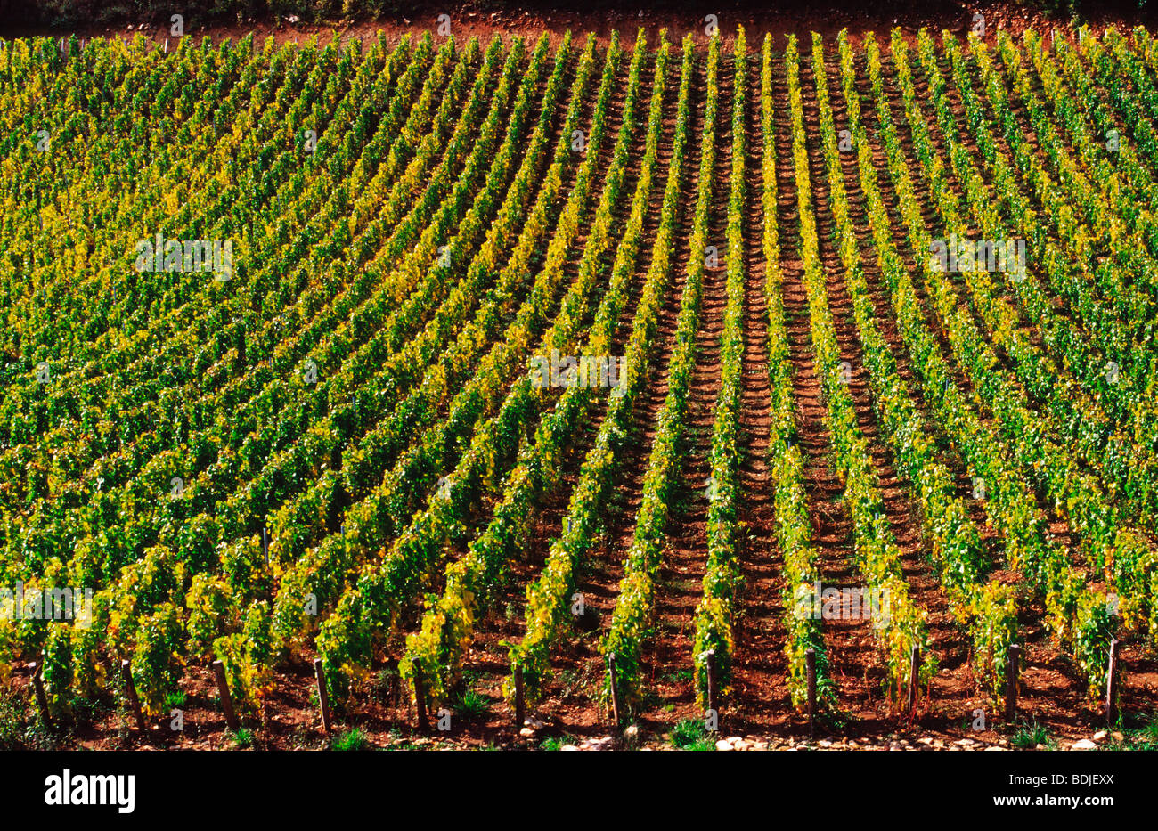 Beaune France Vineyard High Resolution Stock Photography and Images - Alamy