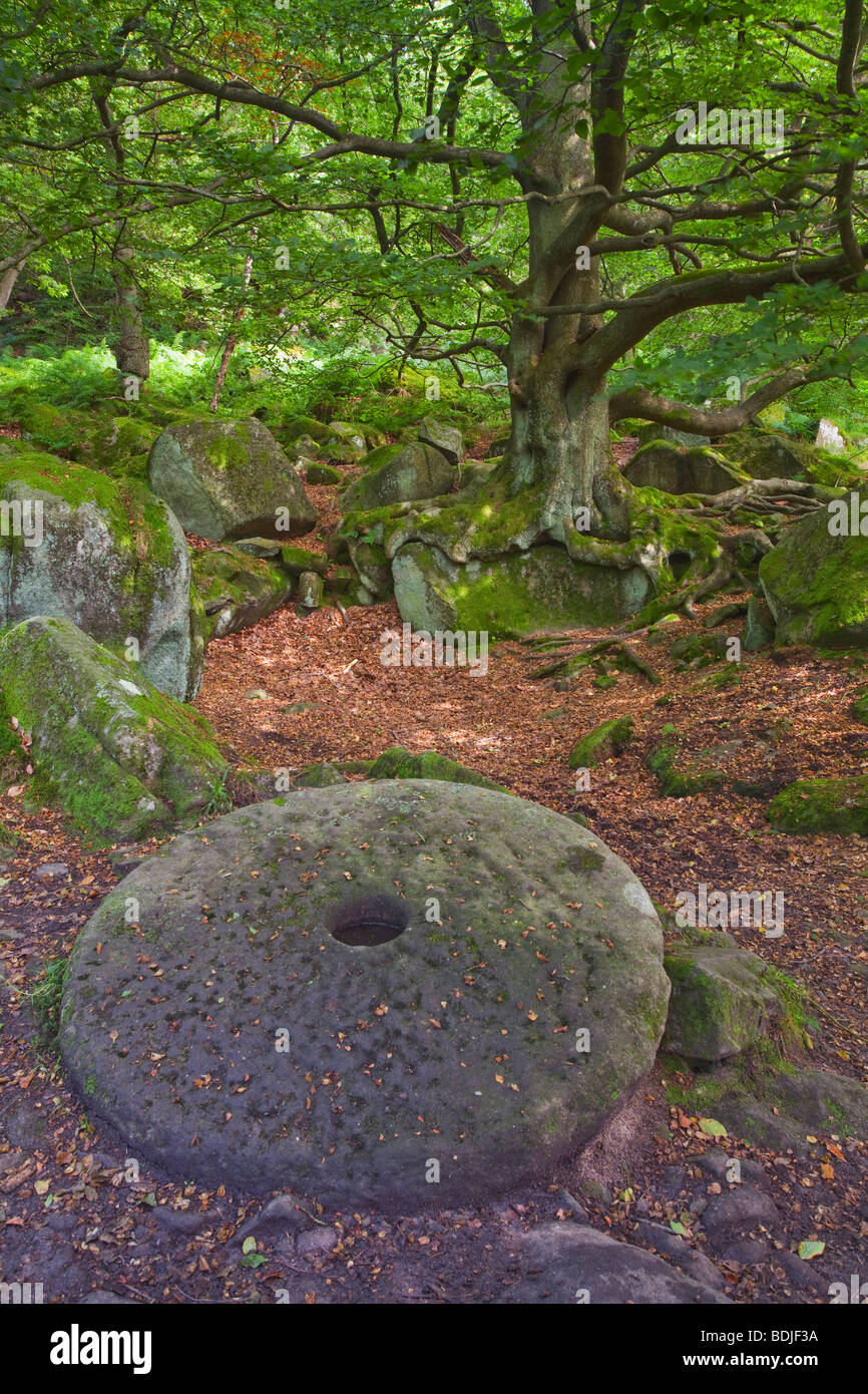 A Millstone in Padley Gorge in the Peak District National Park, Derbyshire, England, United Kingdom. Photographed in August Stock Photo
