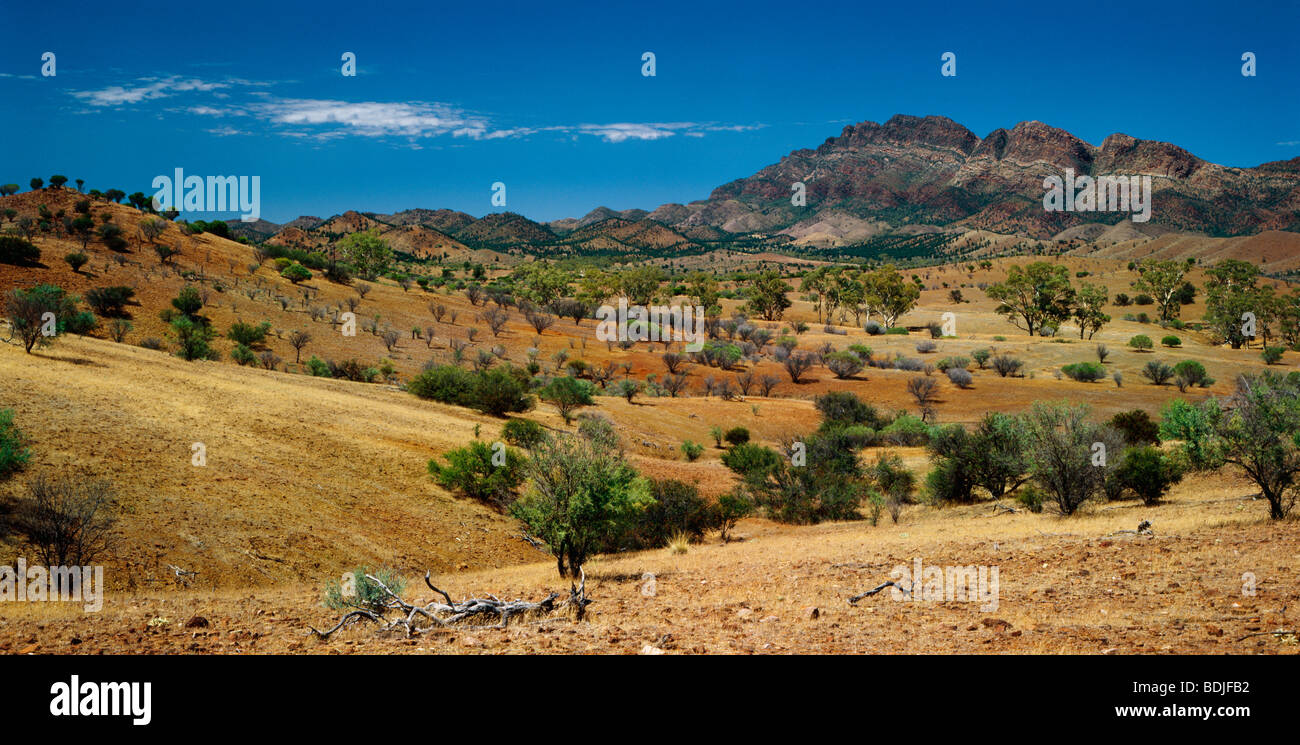 Landscape, Flinders Ranges, Wilpena Pound, Australia Stock Photo