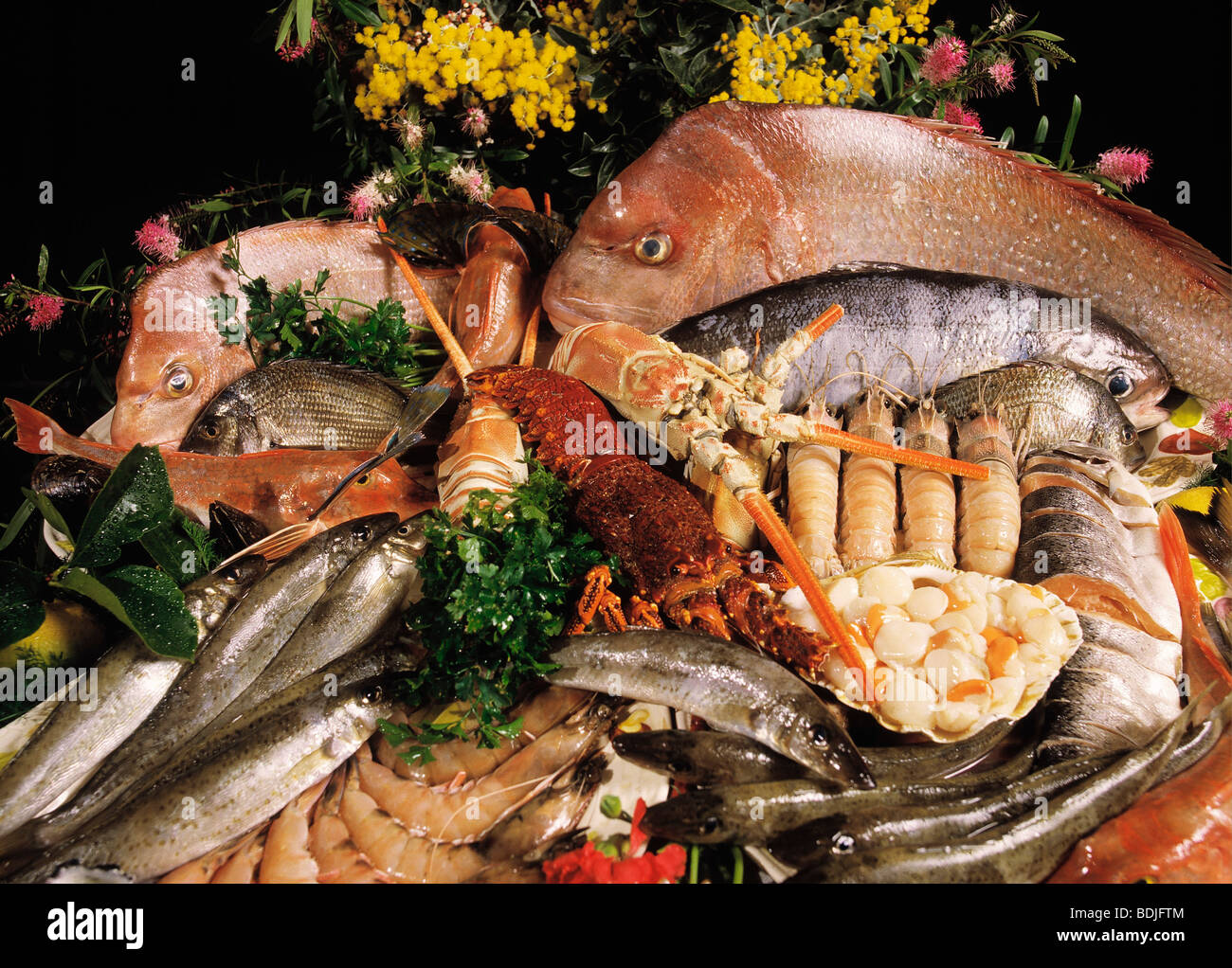 Seafood Platter Stock Photo